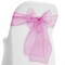 Lann's Linens - 10 Elegant Organza Wedding/Party Chair Cover Sashes/Bows - Ribbon Tie Back Sash
